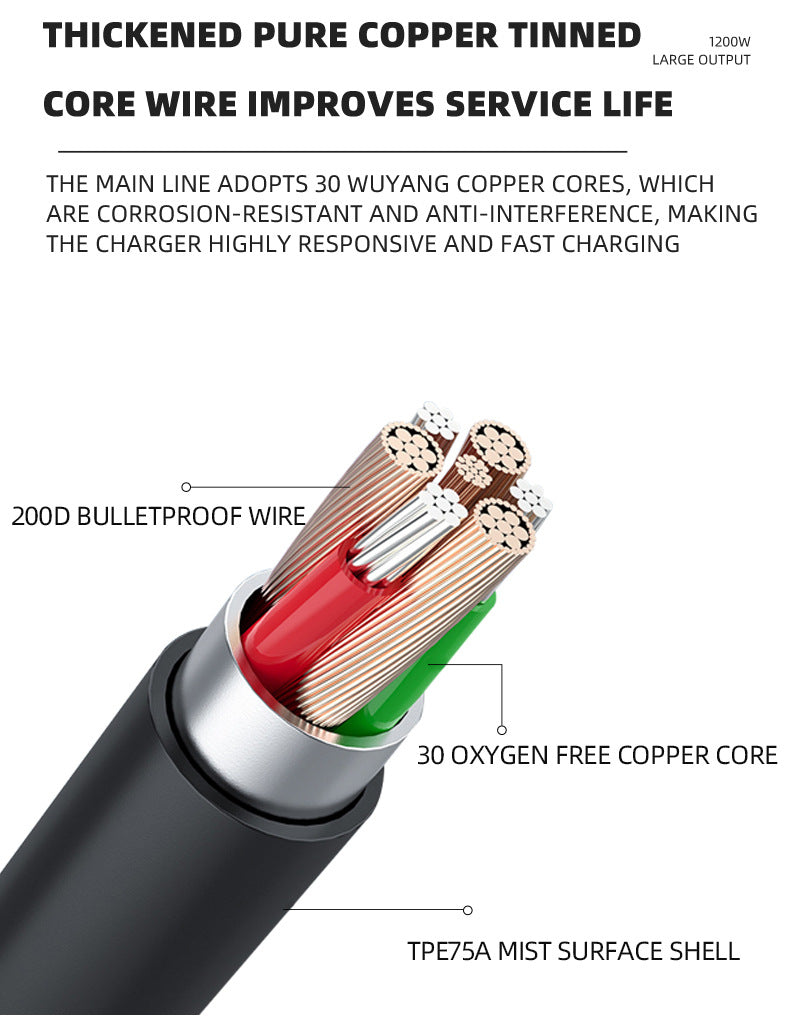 Automobile Battery Charger 12V24V