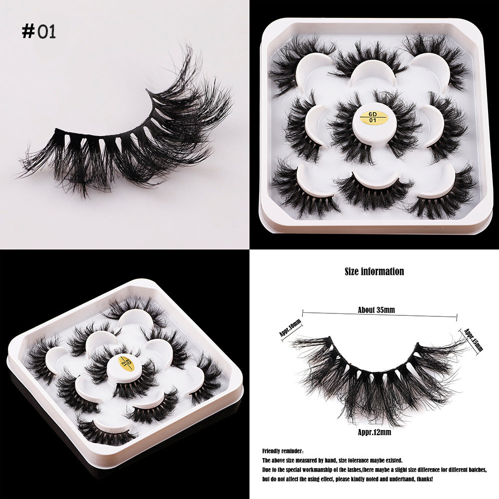 5 Pairs Of Thick False Eyelashes